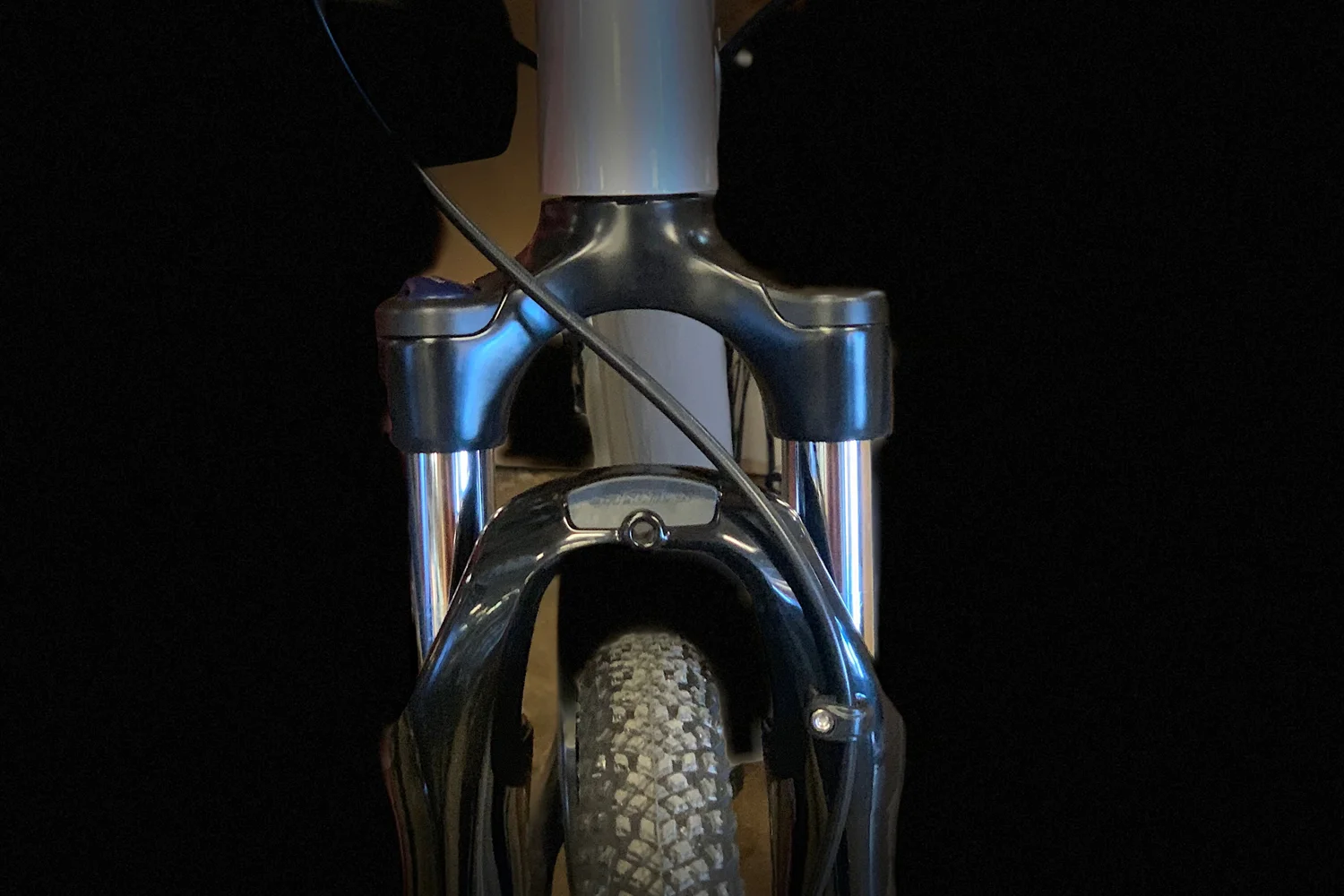 A healthy, happy looking front fork.
