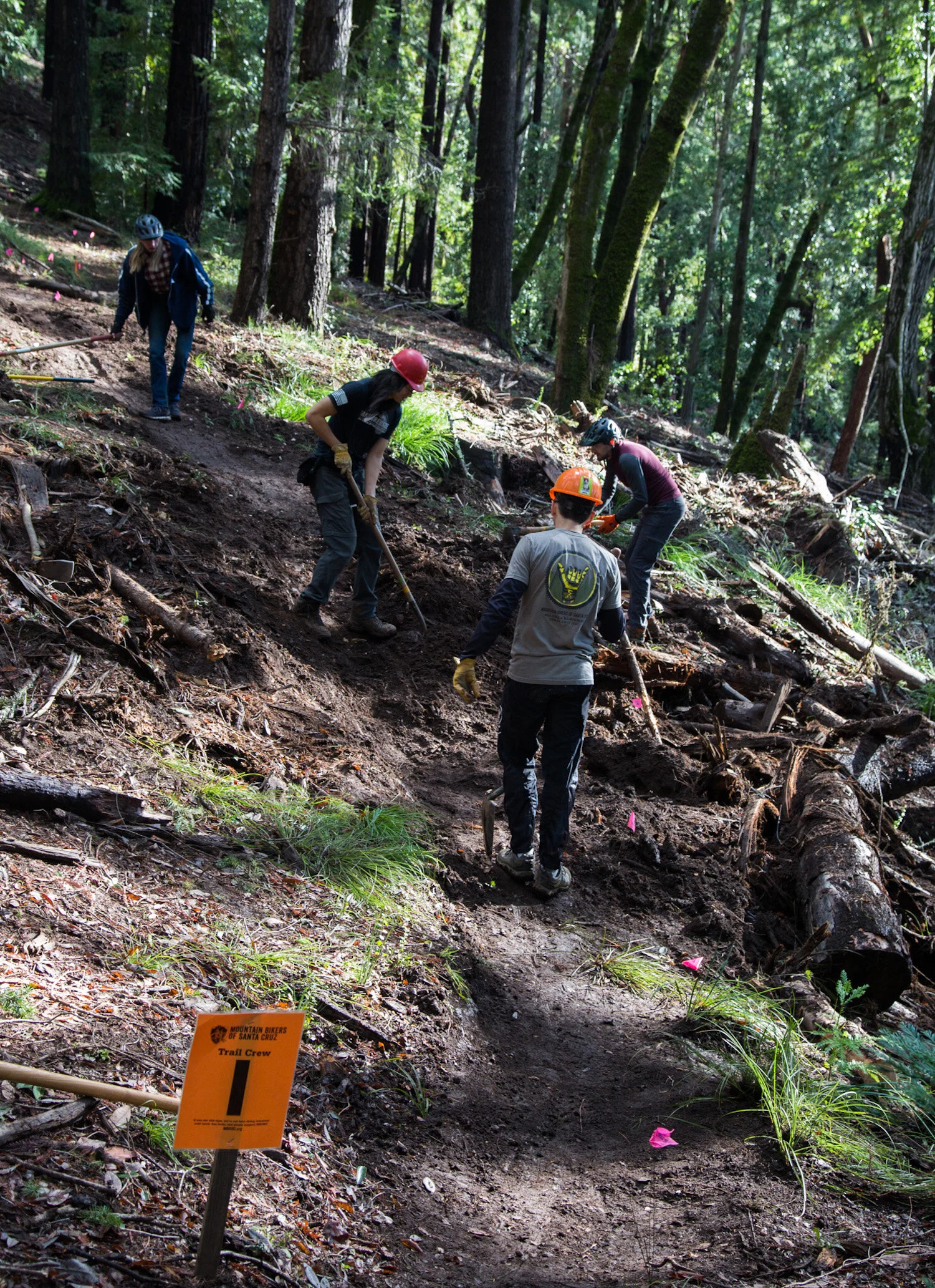soquel demonstration forest shuttle