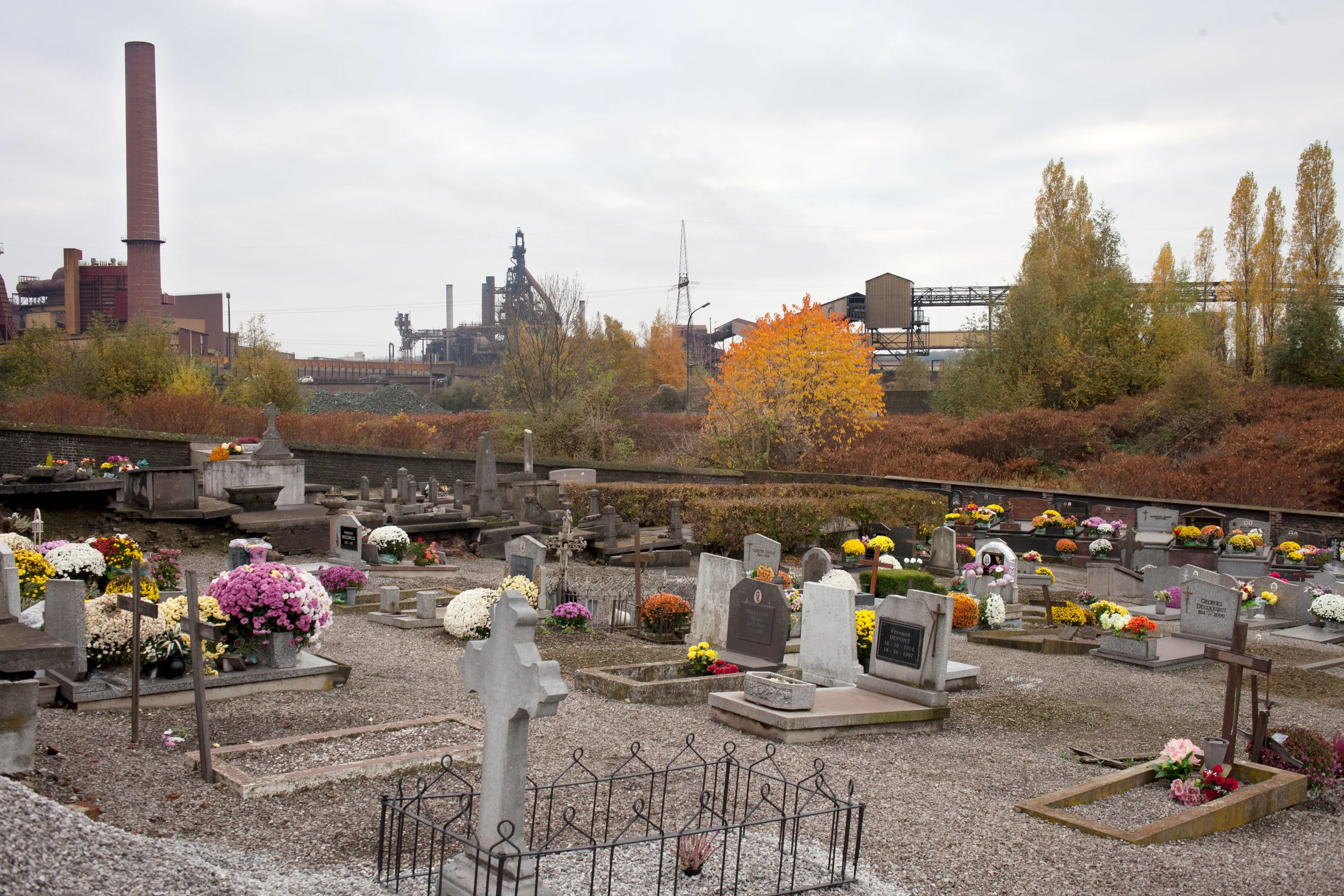 Migerode_Stephanie_Charleroi_8.jpg