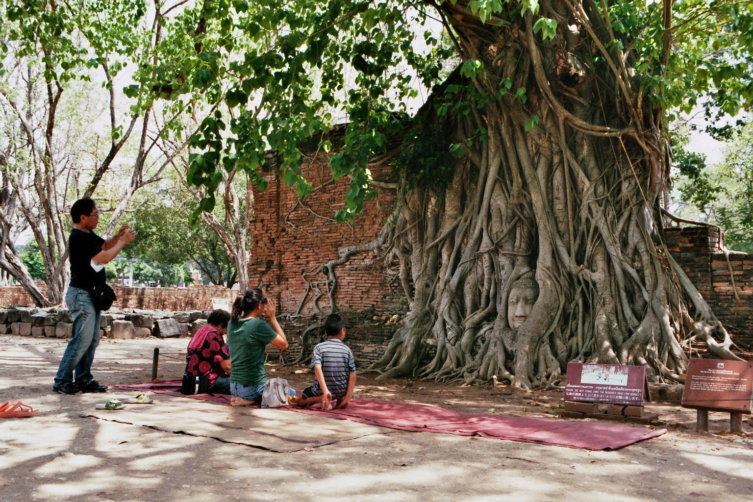 imm028_25.jpg