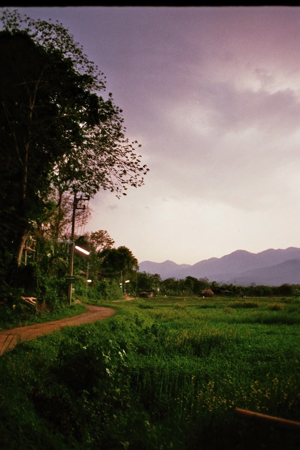 imm003_1.jpg