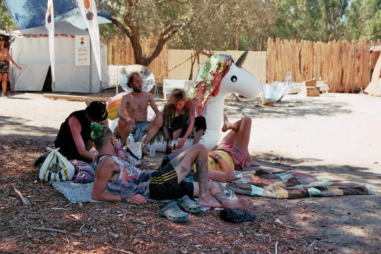 imm014_13.jpg