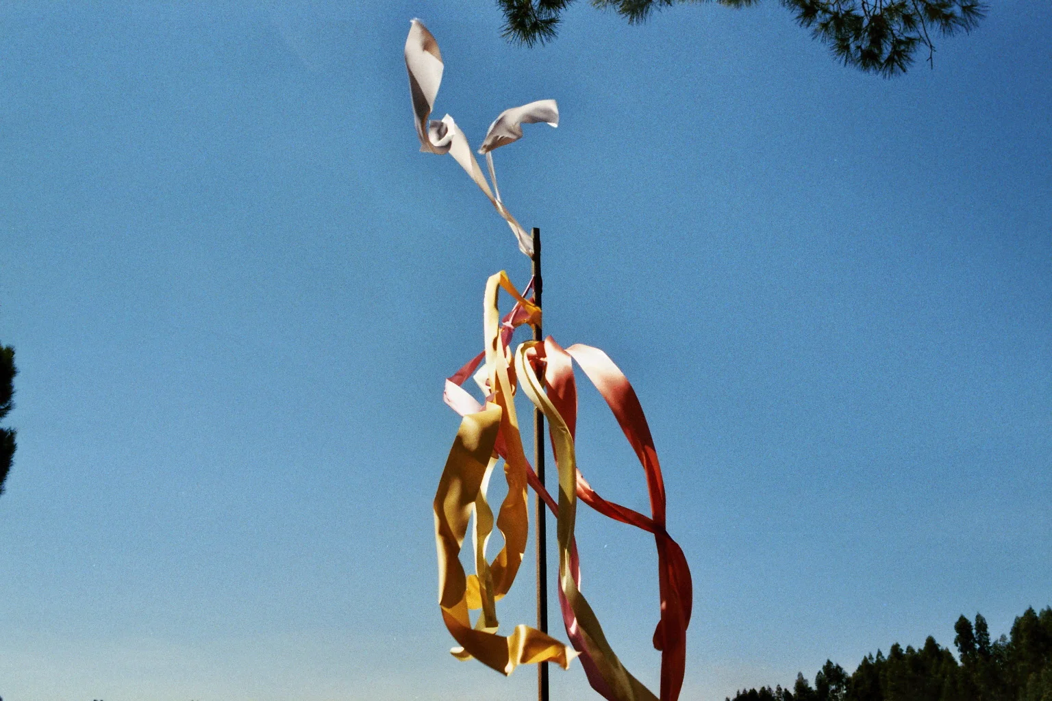 imm033_32.jpg