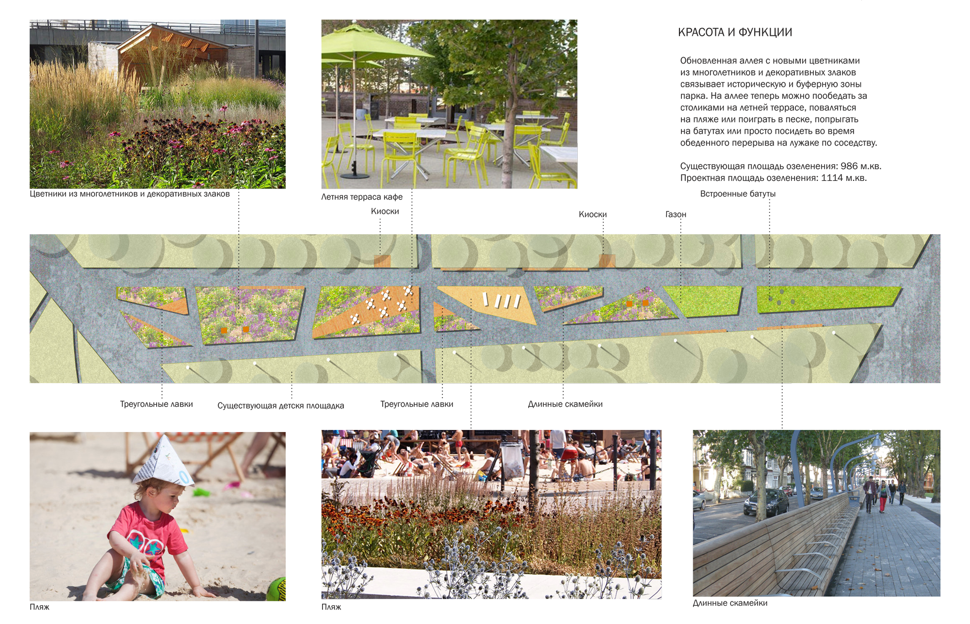  Схема функционального зонирования аллеи 