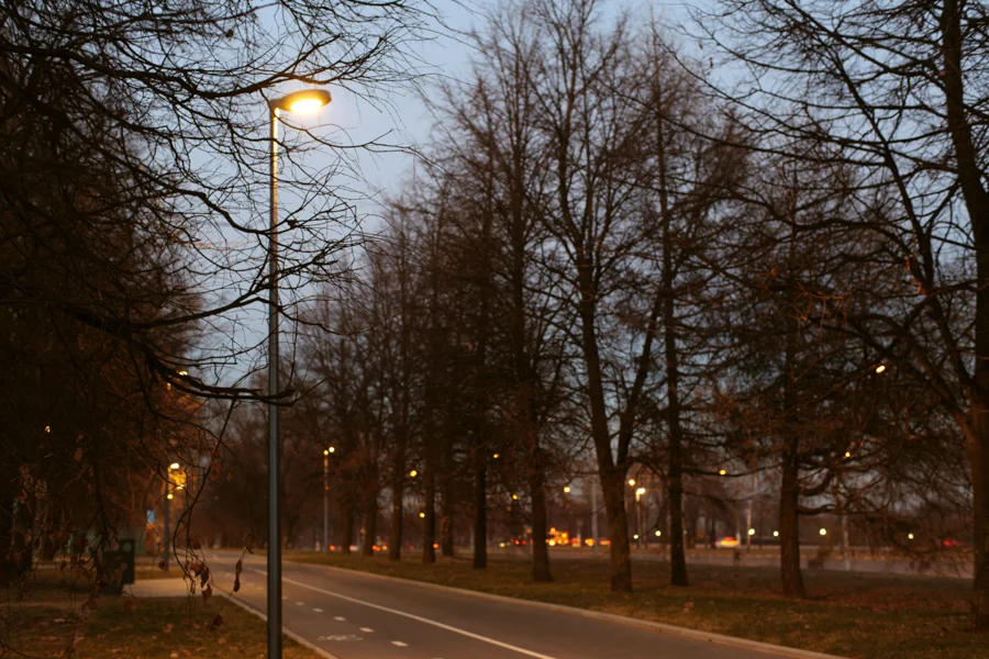  Концепция освещения парка от Michael Grubb Studio - светильники с направленным светом, незаметные днем. 