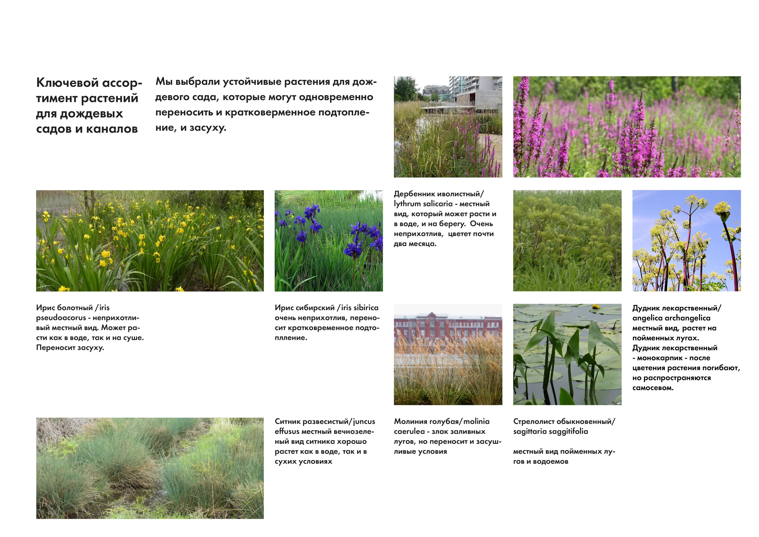  Устойчивый ландшафт 