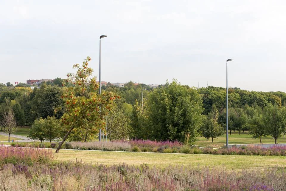 садовники артур лето 4.jpg