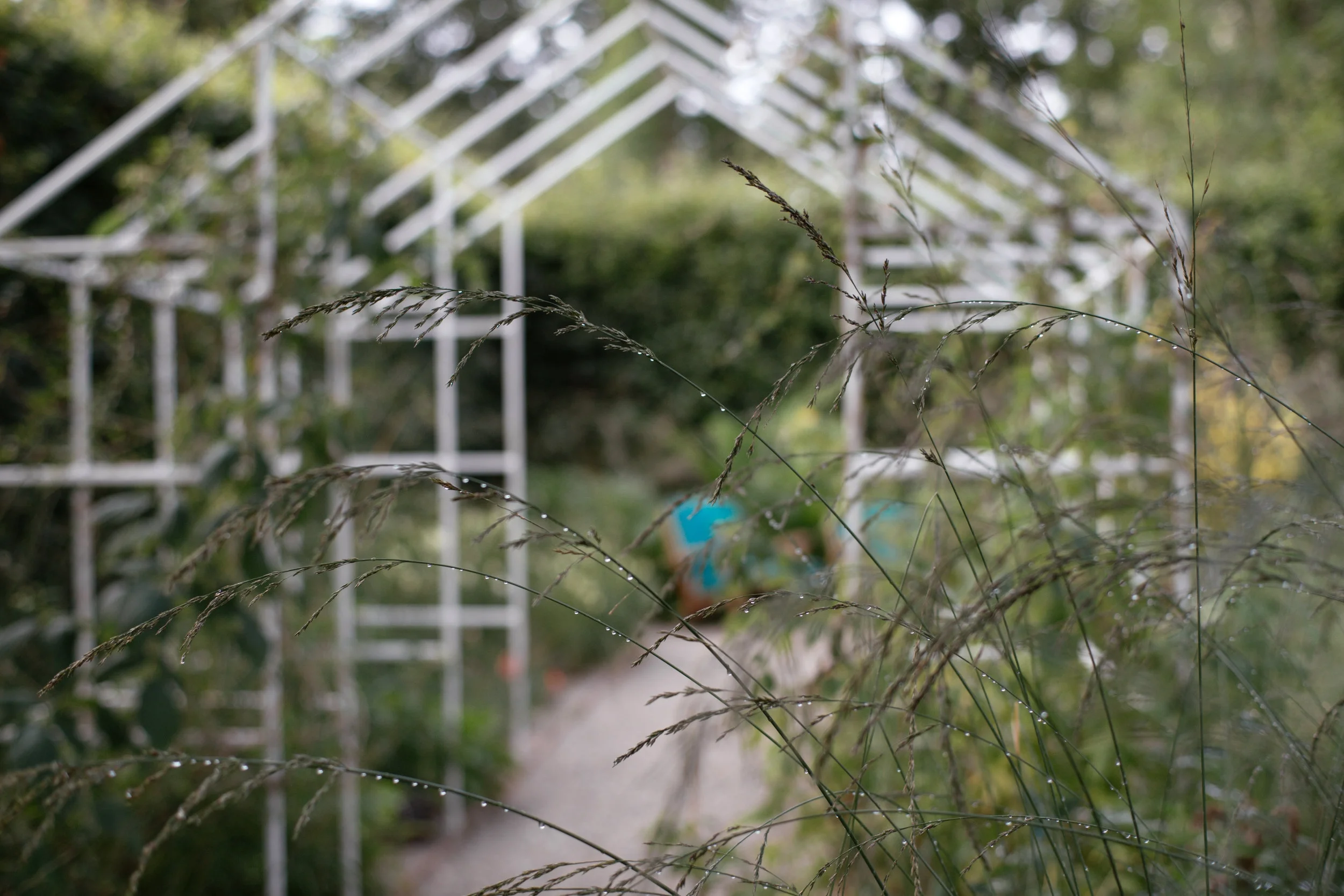 Chaumont-sur-Loire August