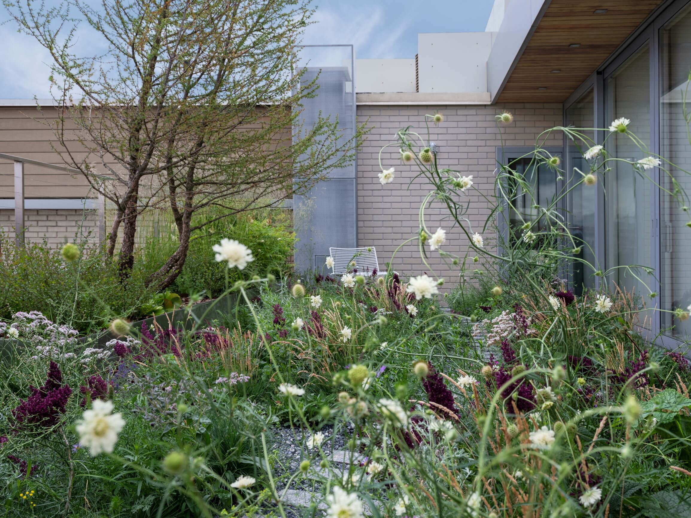 polyanka small_DSF5360.JPG