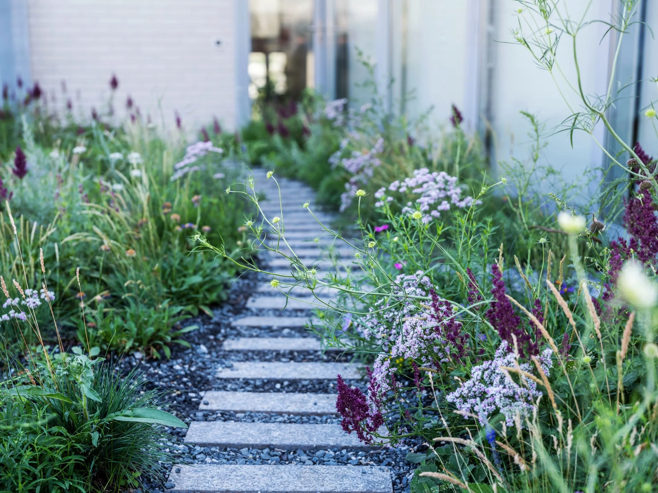 polyanka small_DSF4612.JPG