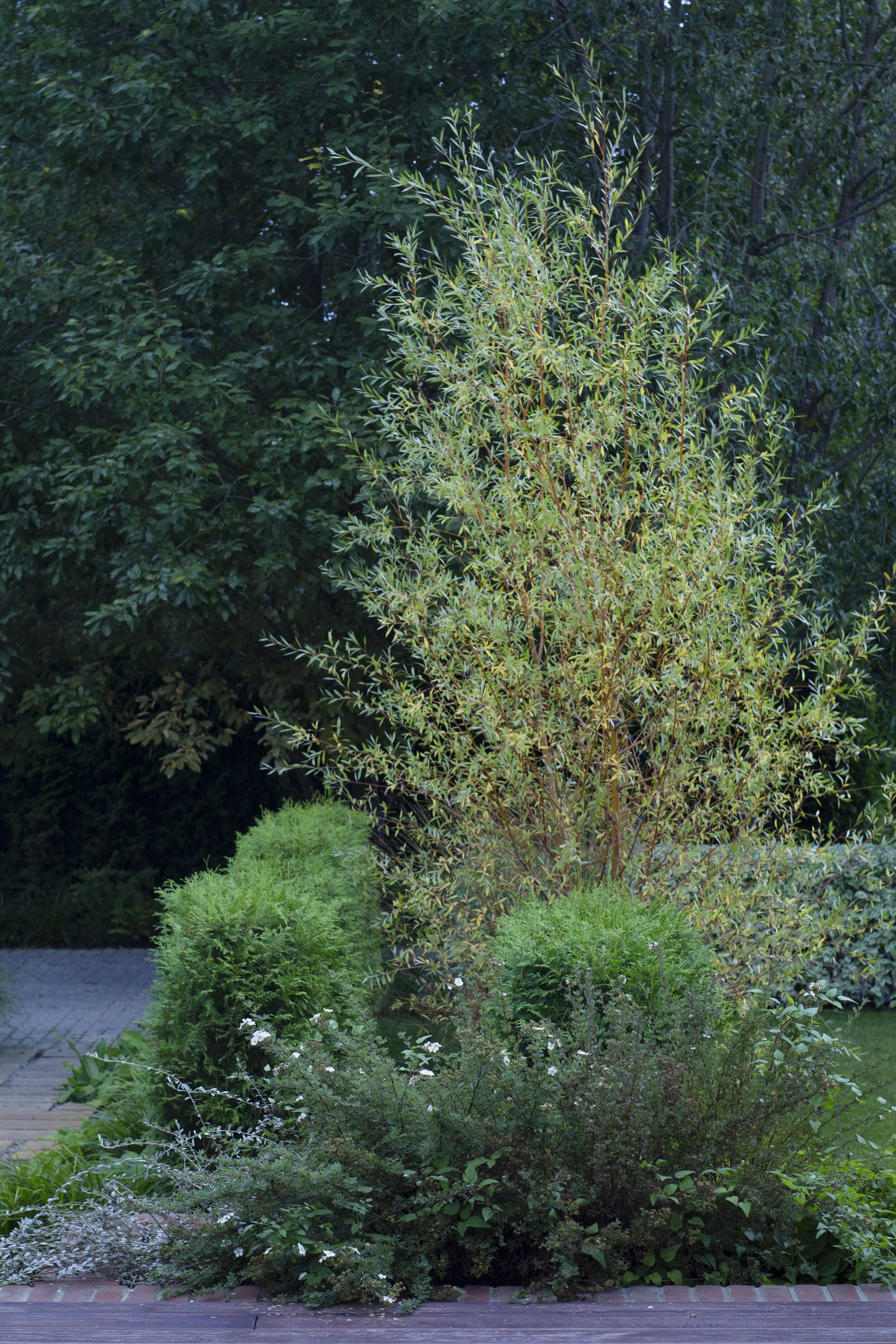 IMGL7946 razdory selected 2.jpg