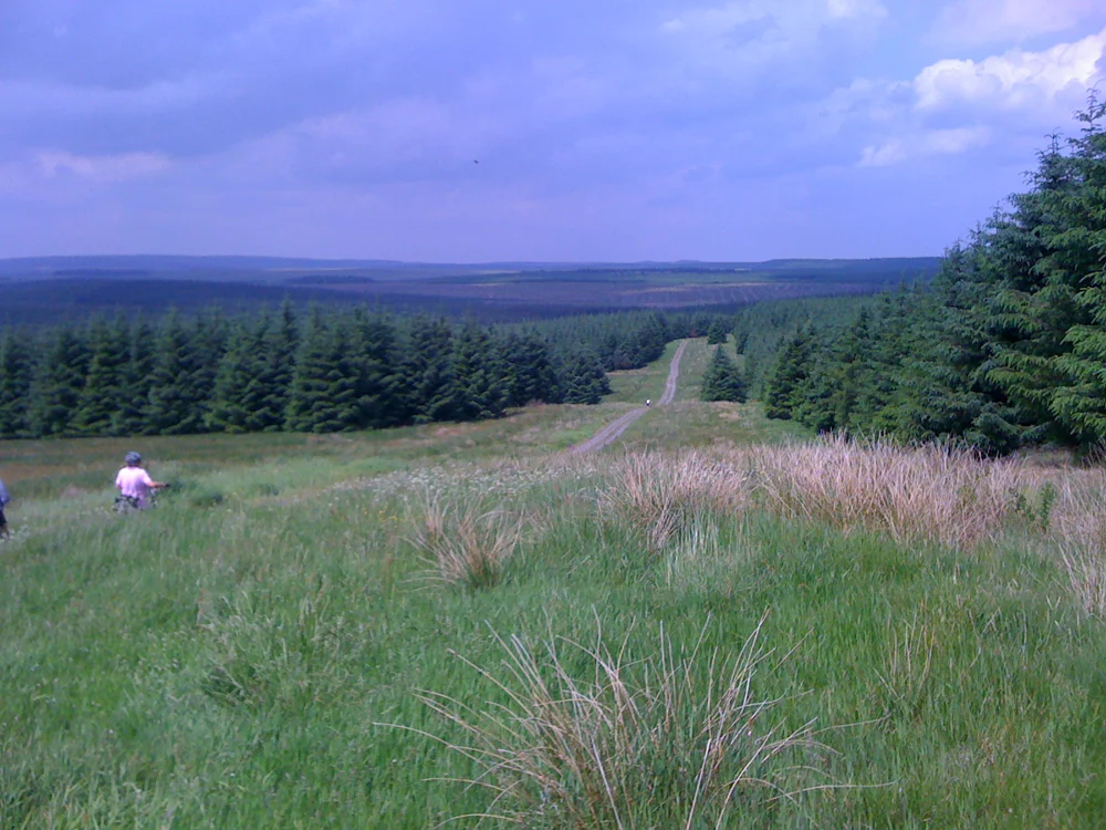 bfcic2010 kielder forest2.JPG