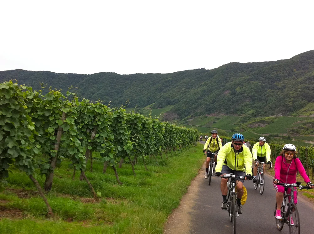 bfcic2011 mosel vineyards.JPG