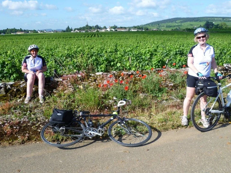 bfcic2012 vineyard.jpeg