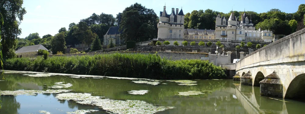 bfcic2009 bridge.jpeg