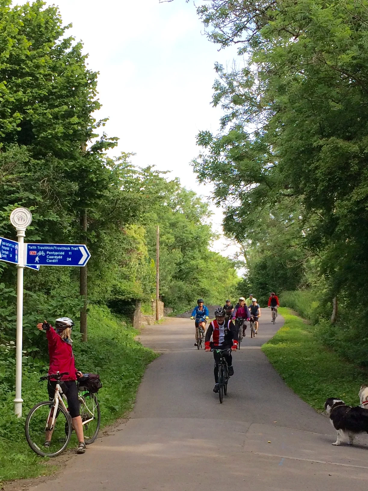 Photo 16-06-2017-6.jpeg