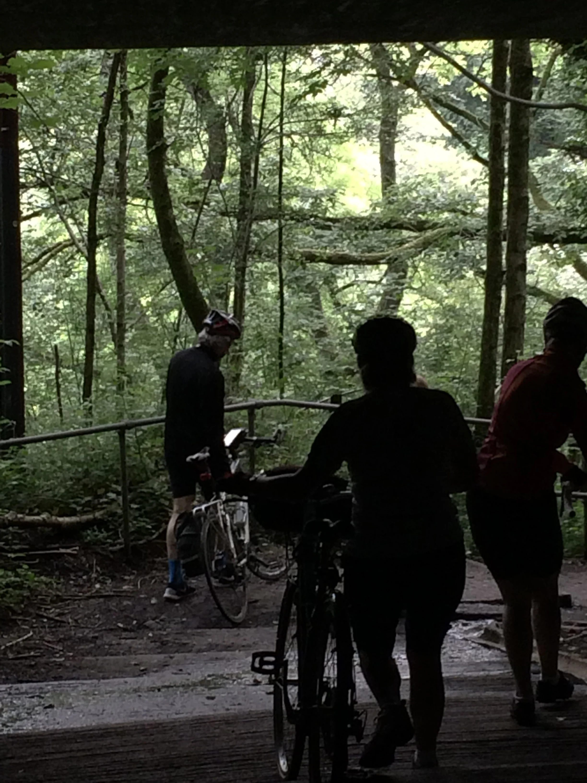 Photo 16-06-2017-10.jpeg