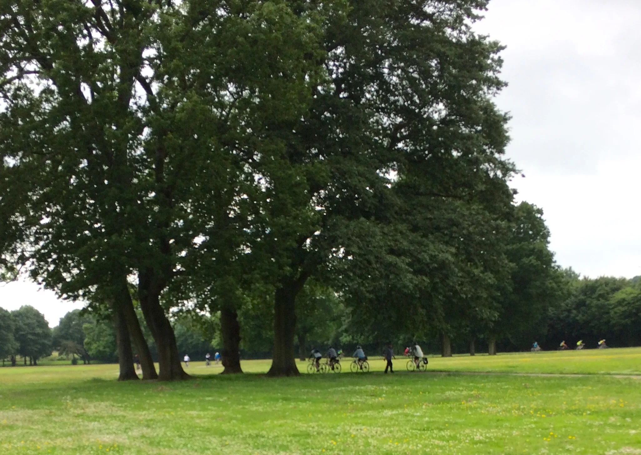 Photo 16-06-2017-29.jpeg