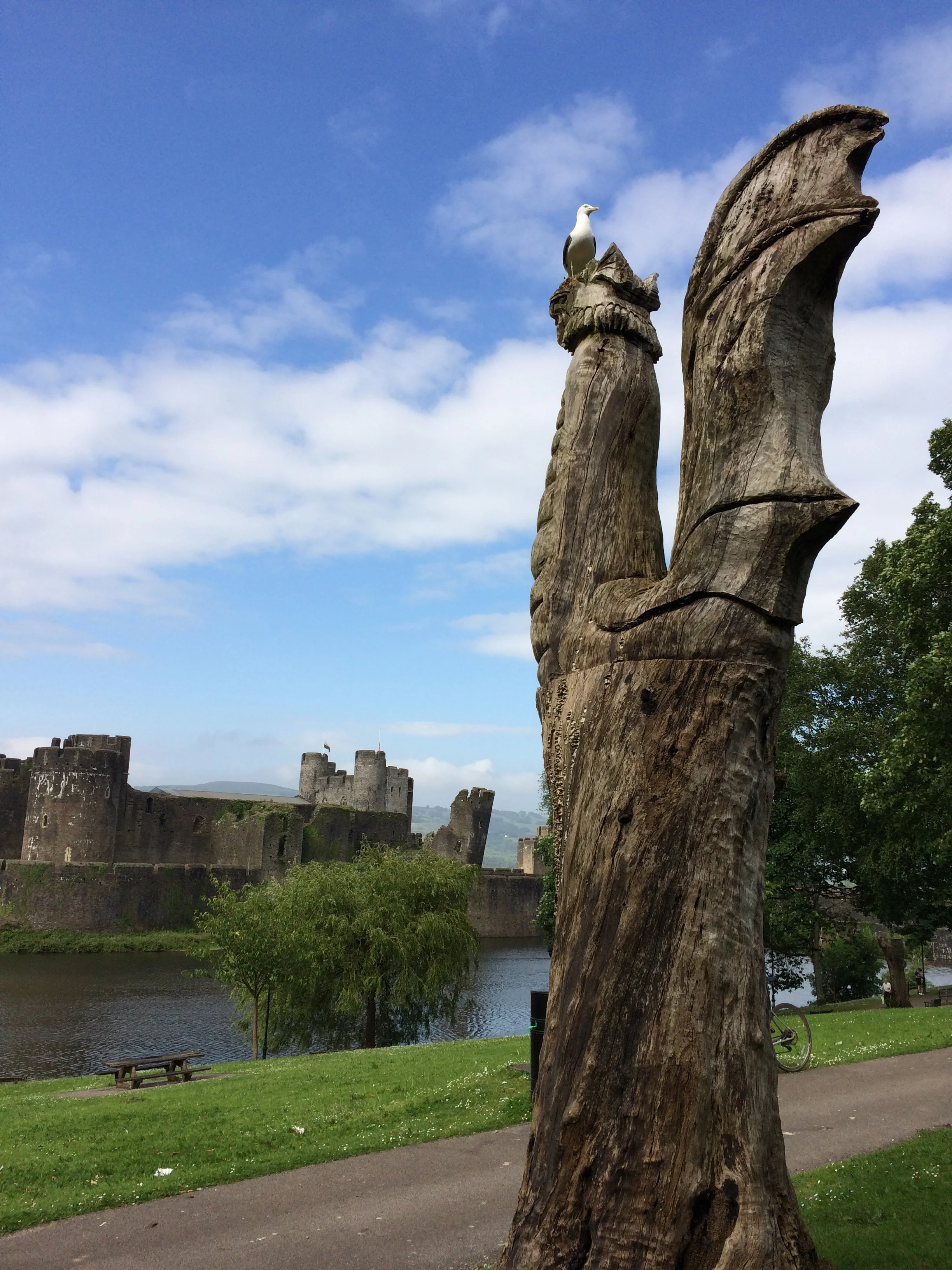 Photo 16-06-2017-33.jpeg