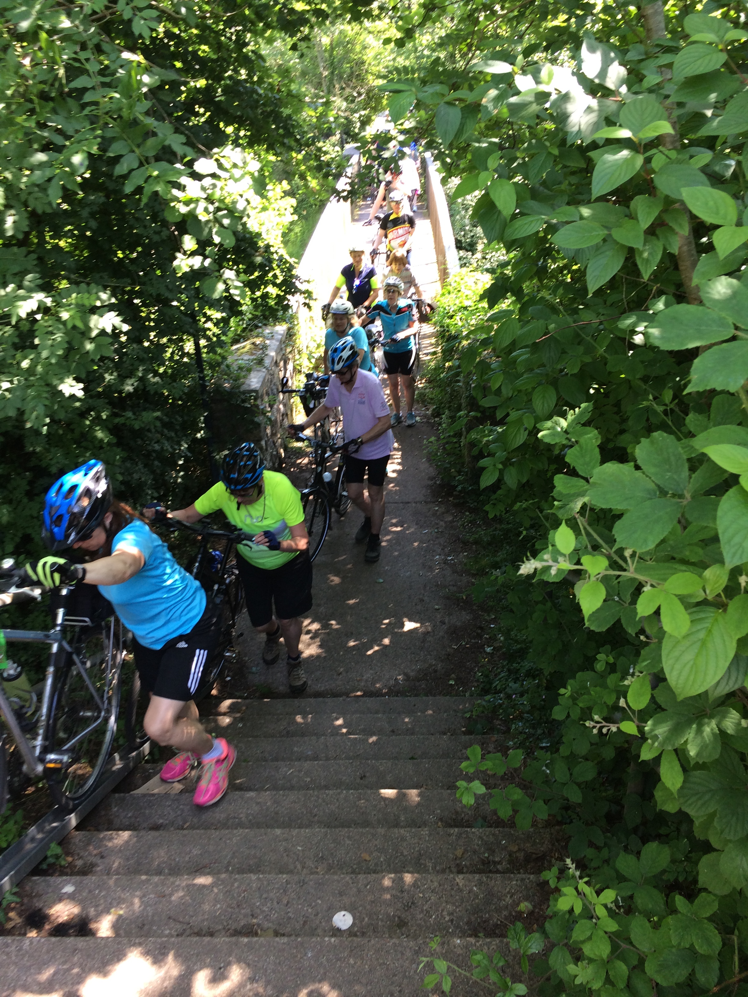 Photo 17-06-2017-3.jpeg