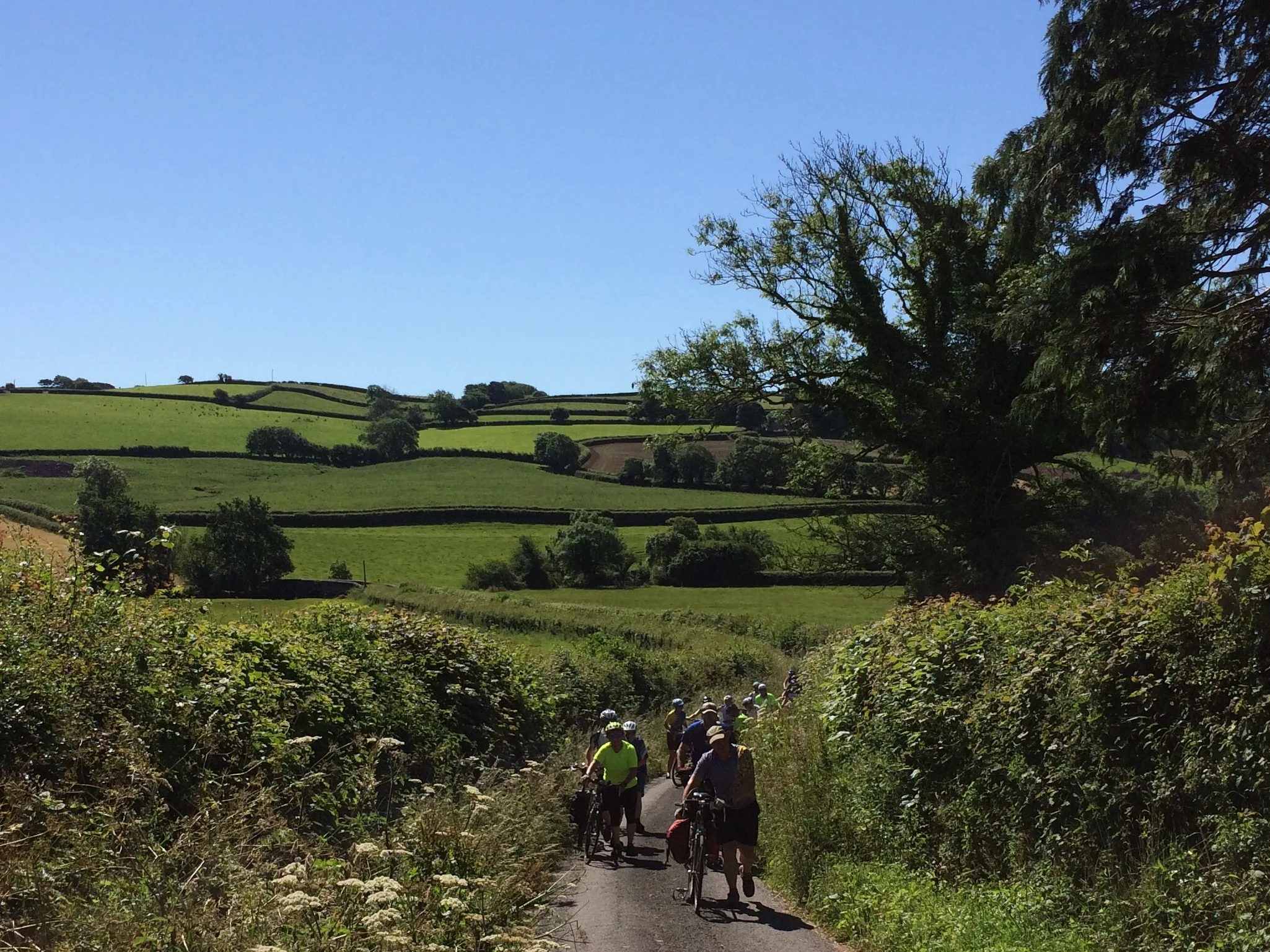 Photo 18-06-2017-2.jpeg