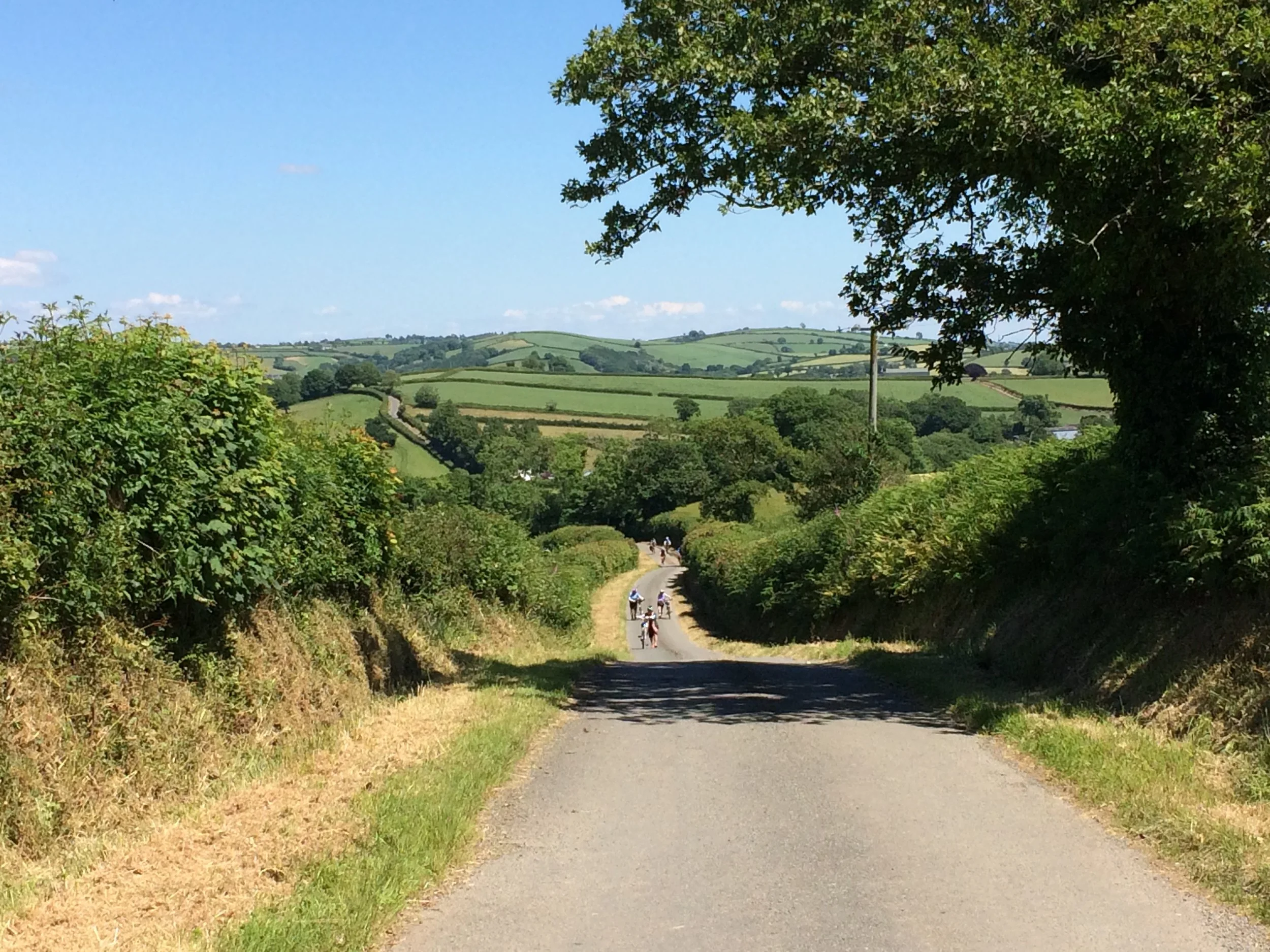 Photo 18-06-2017-5.jpeg