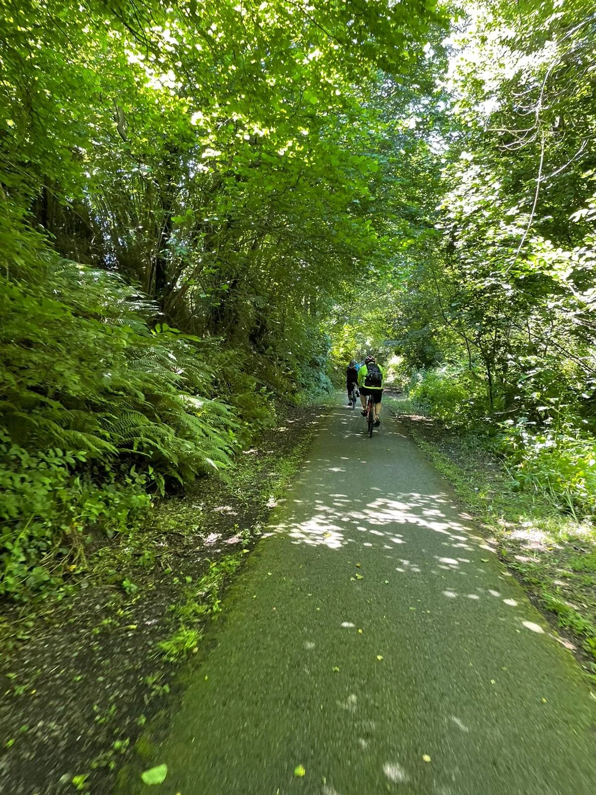 WhatsApp Image 2021-06-26 at 18.54.51.jpeg