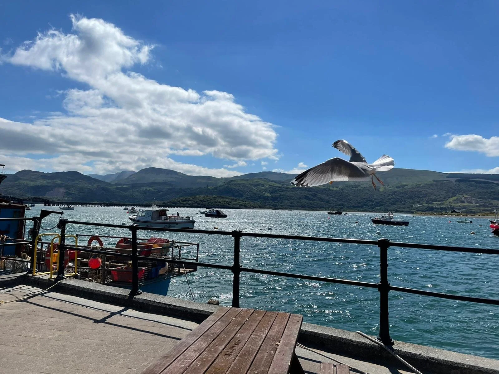 WhatsApp Image 2021-06-27 at 23.37.34.jpeg