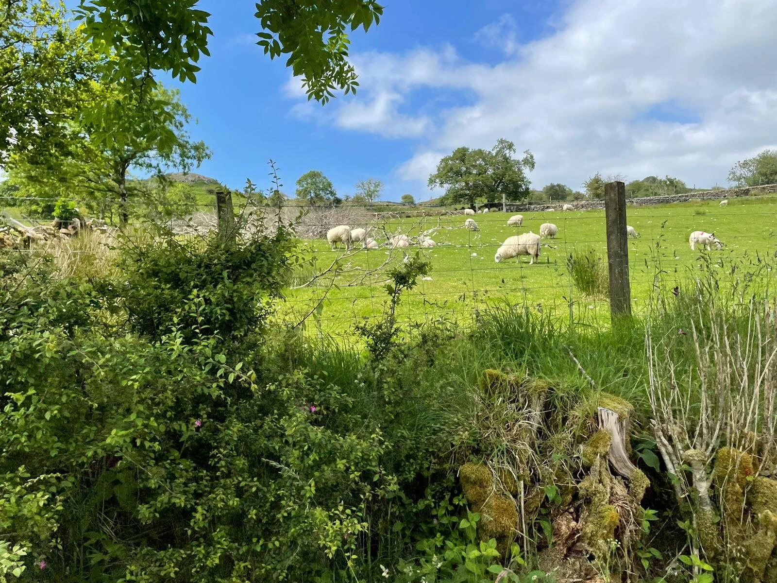 WhatsApp Image 2021-06-27 at 23.37.39.jpeg