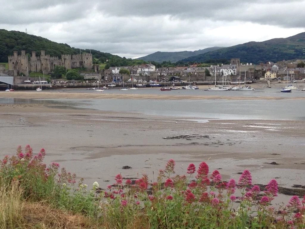 WhatsApp Image 2021-06-28 at 17.30.48 (3).jpeg