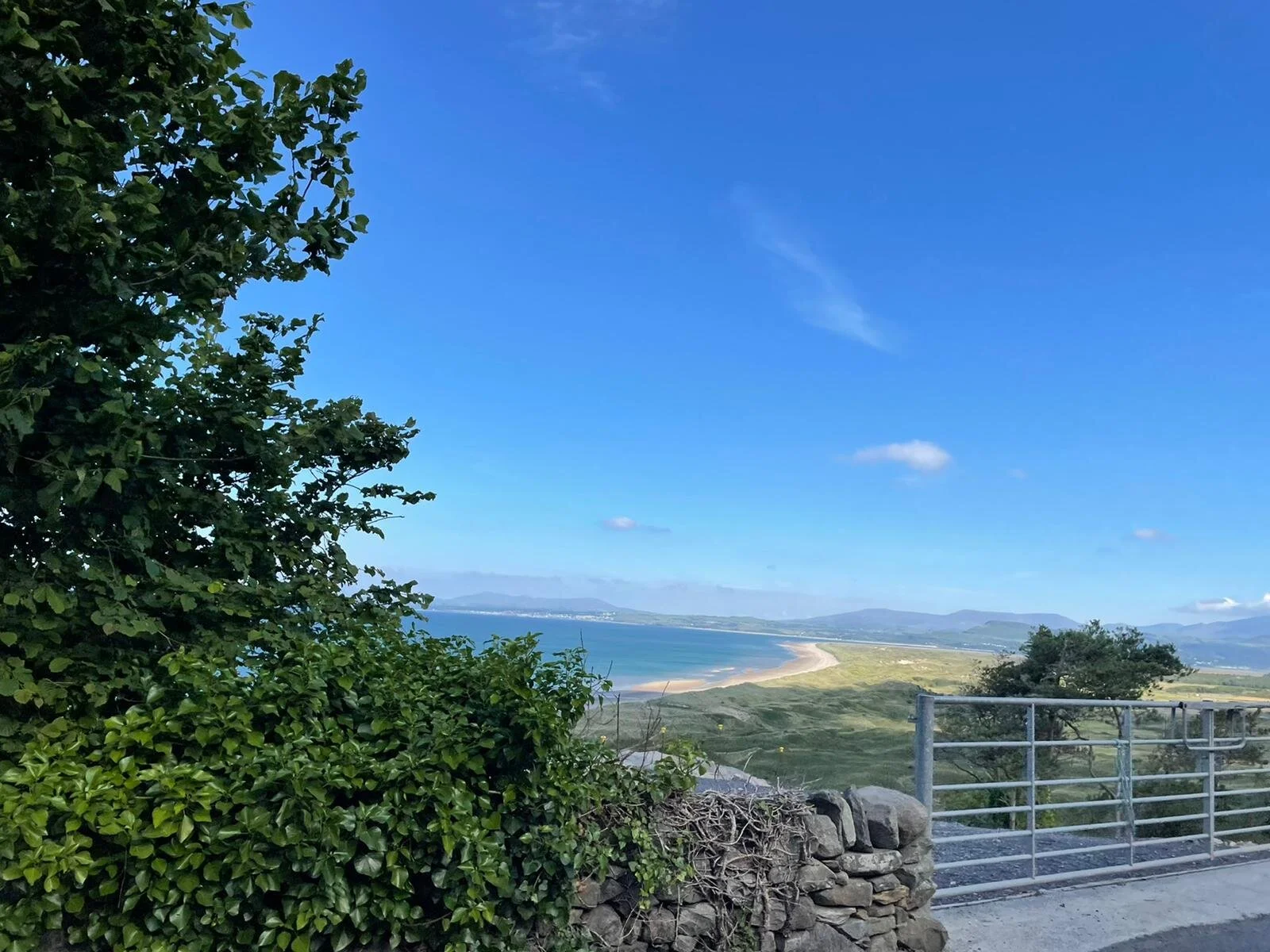 WhatsApp Image 2021-06-27 at 23.37.30 (1).jpeg