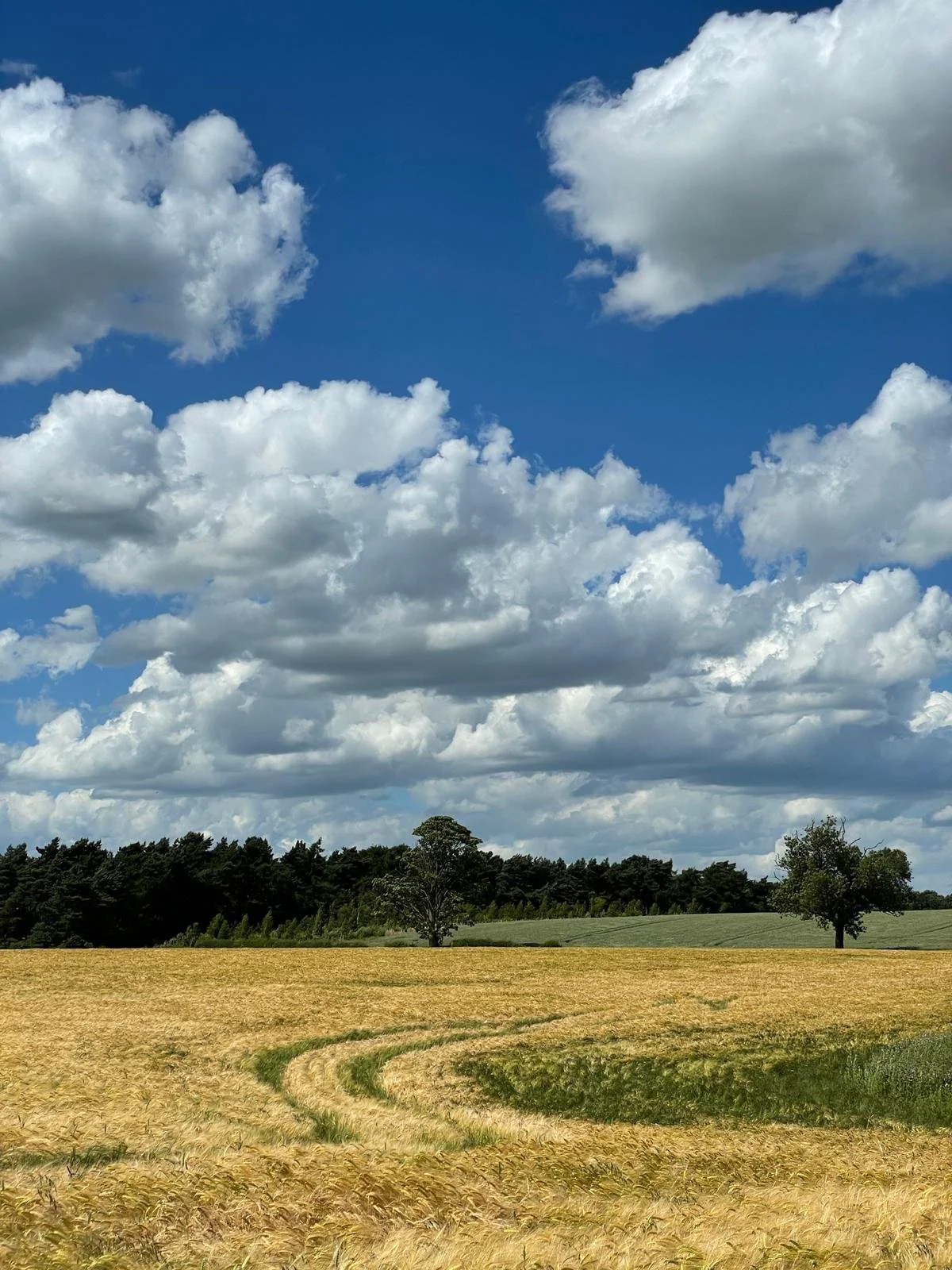 WhatsApp Image 2022-06-25 at 6.49.05 PM.jpeg