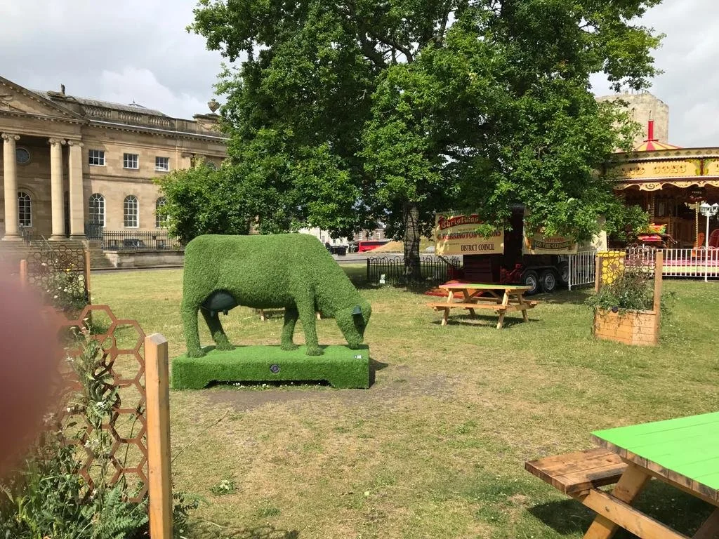 WhatsApp Image 2022-06-27 at 3.45.58 PM.jpeg