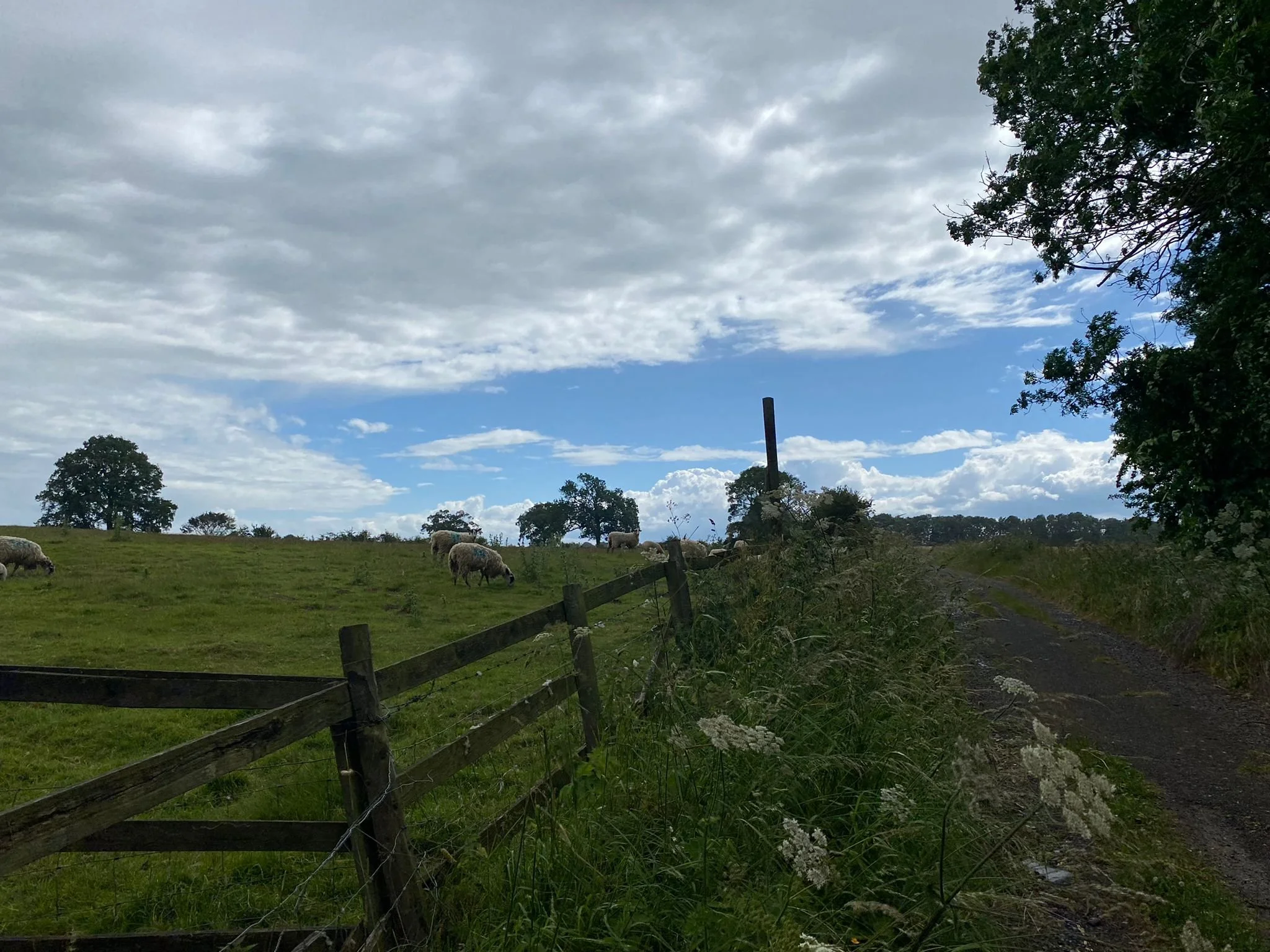 WhatsApp Image 2022-06-27 at 7.33.43 PM.jpeg