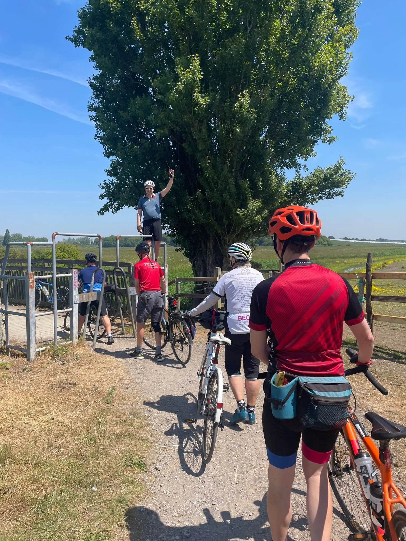 WhatsApp Image 2023-06-15 at 20.24.00.jpeg