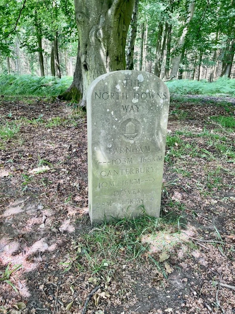 WhatsApp Image 2023-06-20 at 09.14.29.jpeg