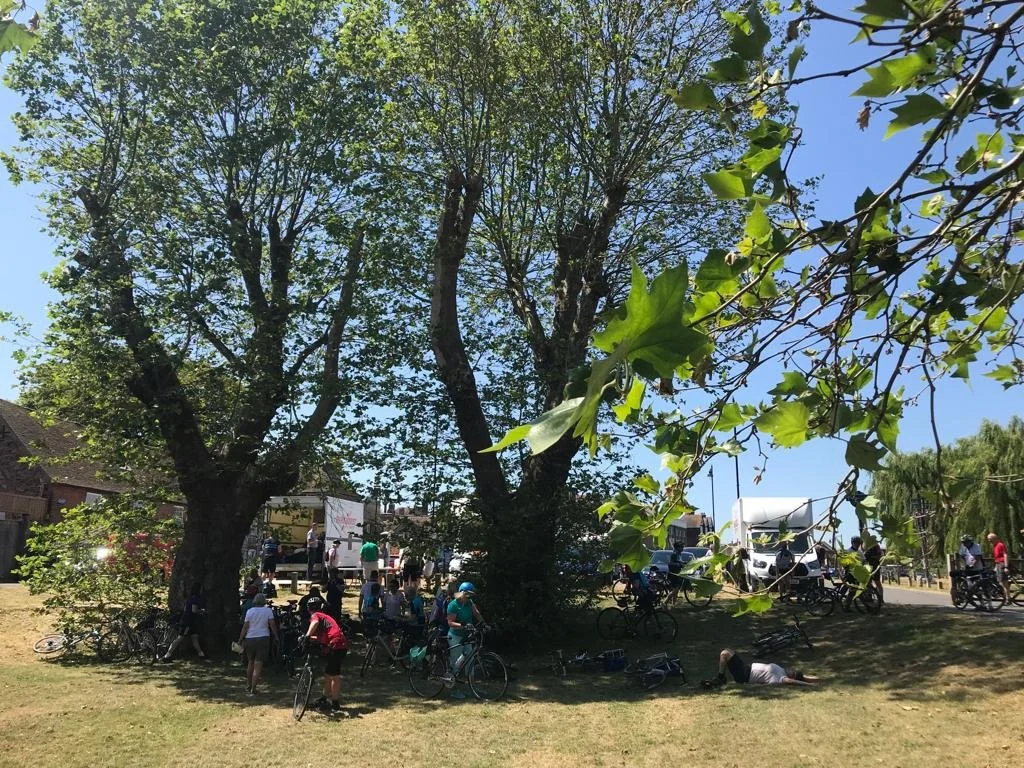 WhatsApp Image 2023-06-20 at 15.09.24.jpeg