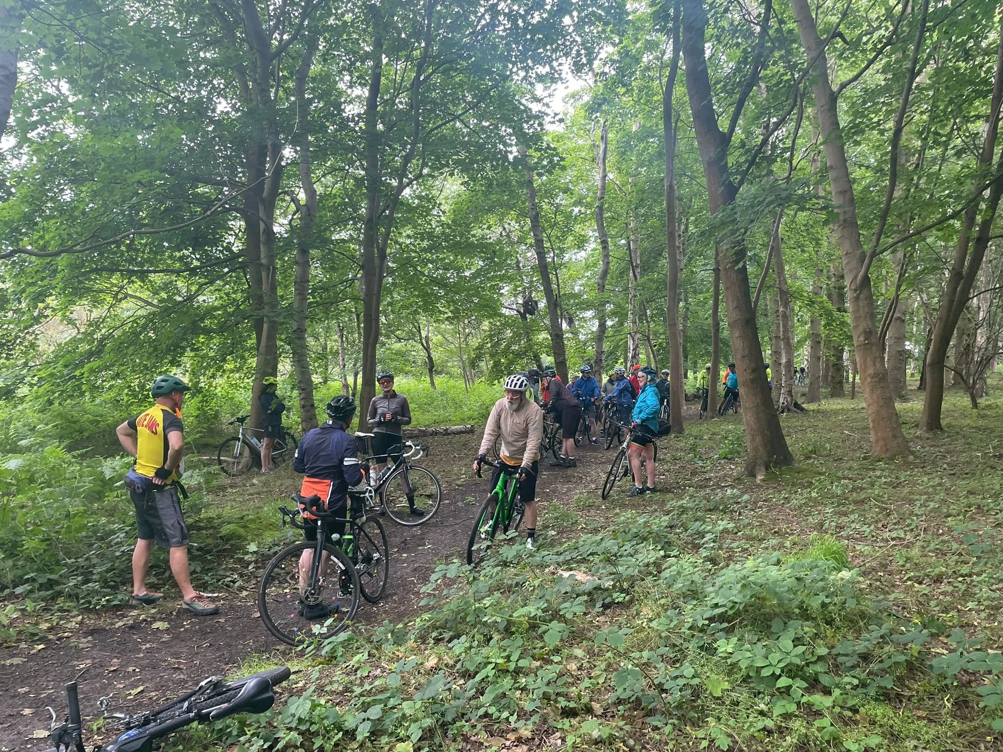 WhatsApp Image 2024-06-18 at 06.59.52 (5).jpeg