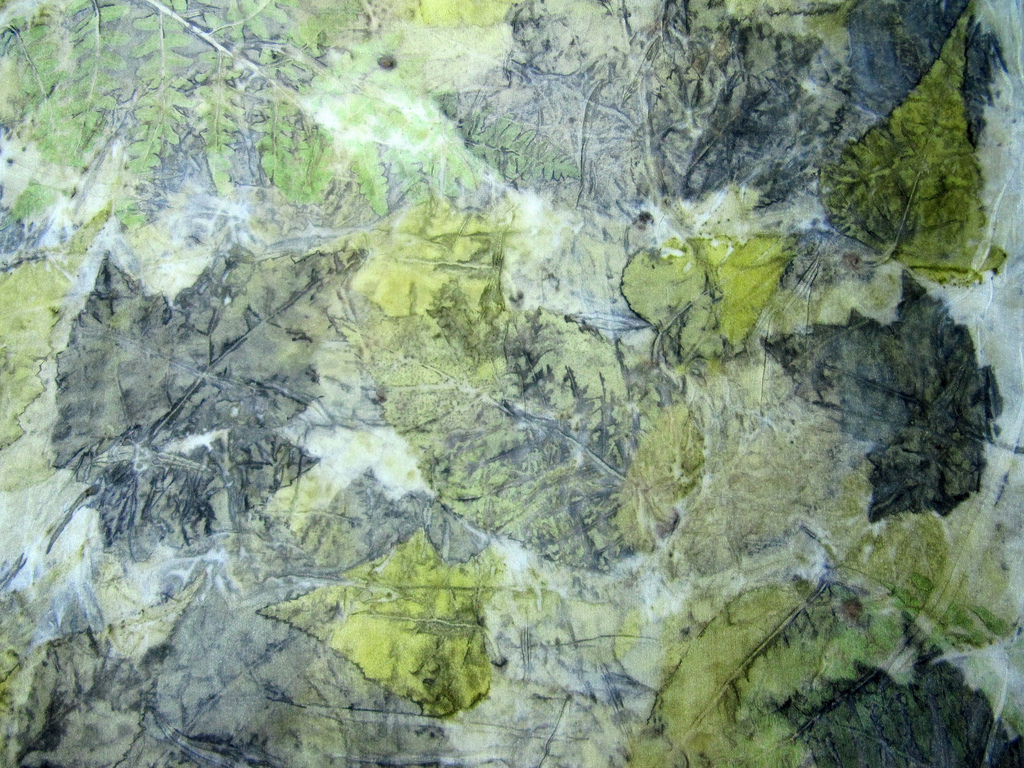 Eco print detail - grey and yellow birch, swamp maple, bracken fern