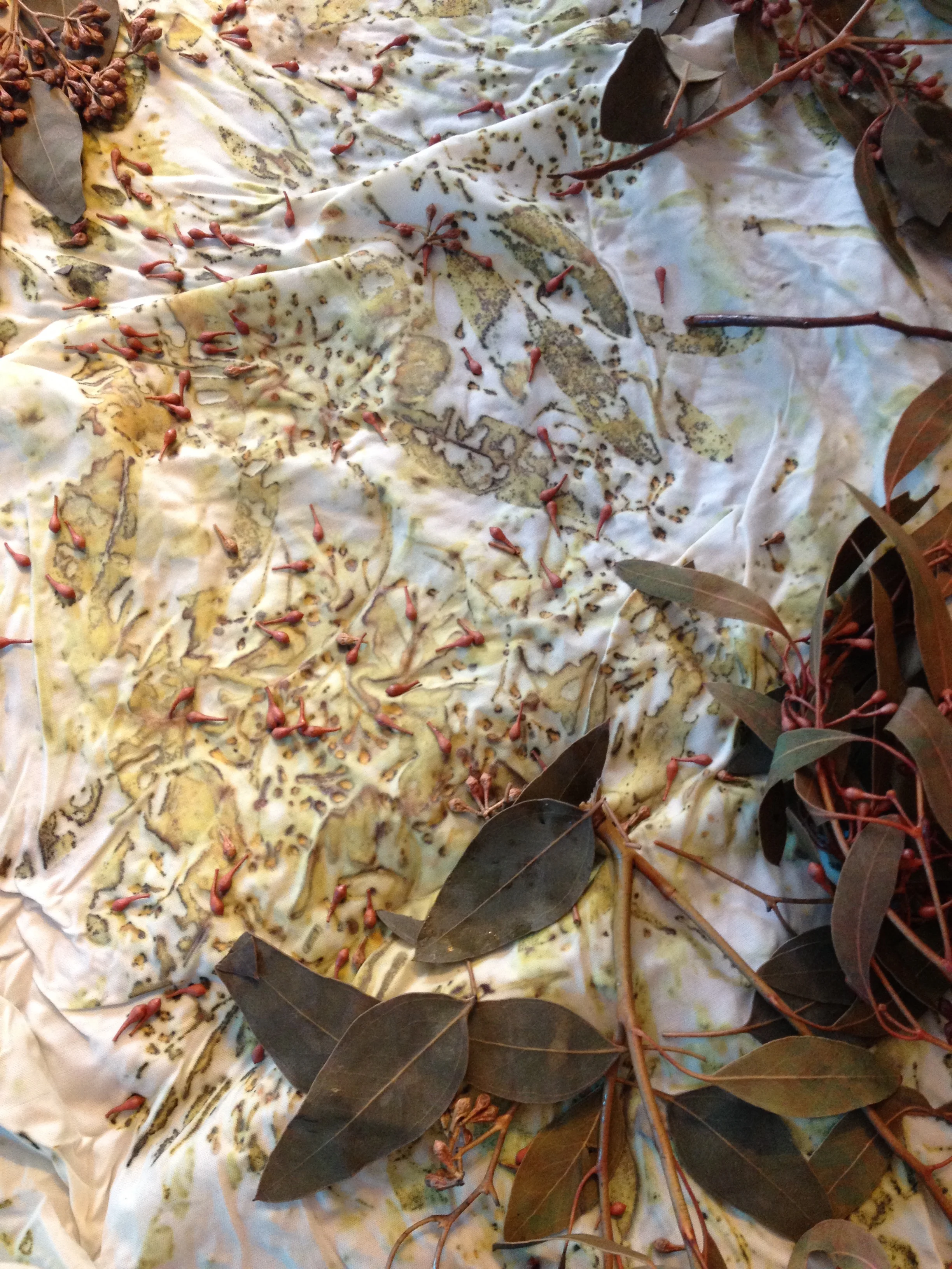 Seeded eucalyptus on spun silk broadcloth, hot mordanted with alum, iron and copper. Print by P. J. Z.