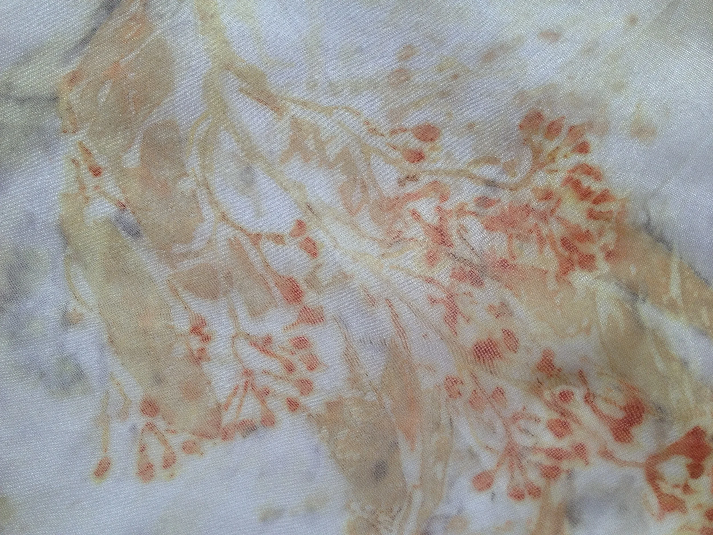 Seeded eucalyptus on alum mordanted silk organza.