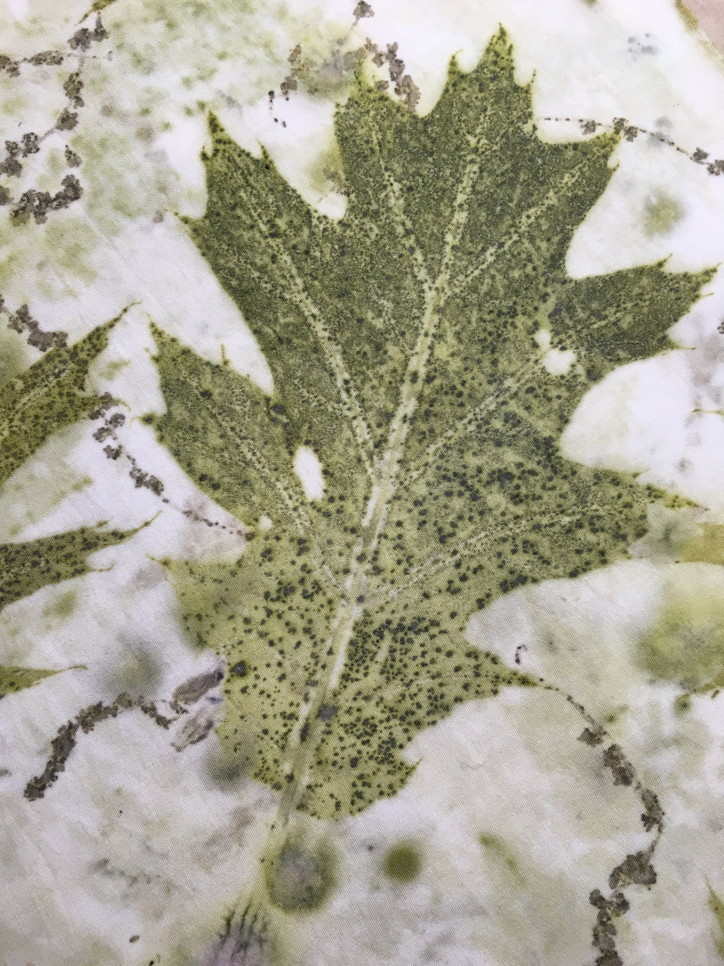 Red Oak Leaf