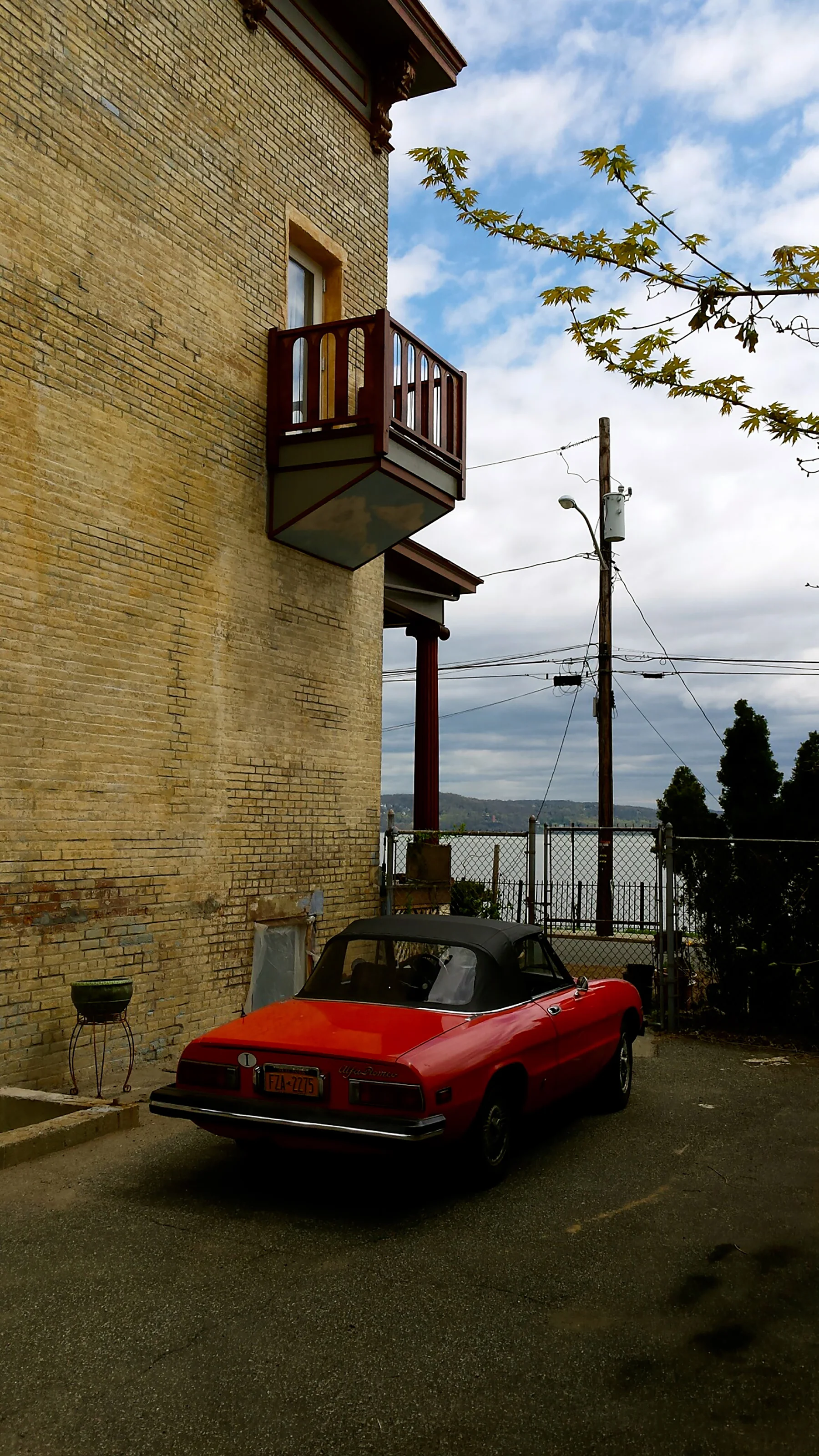 Casa Hudson NY Side yard with Alfa.jpg