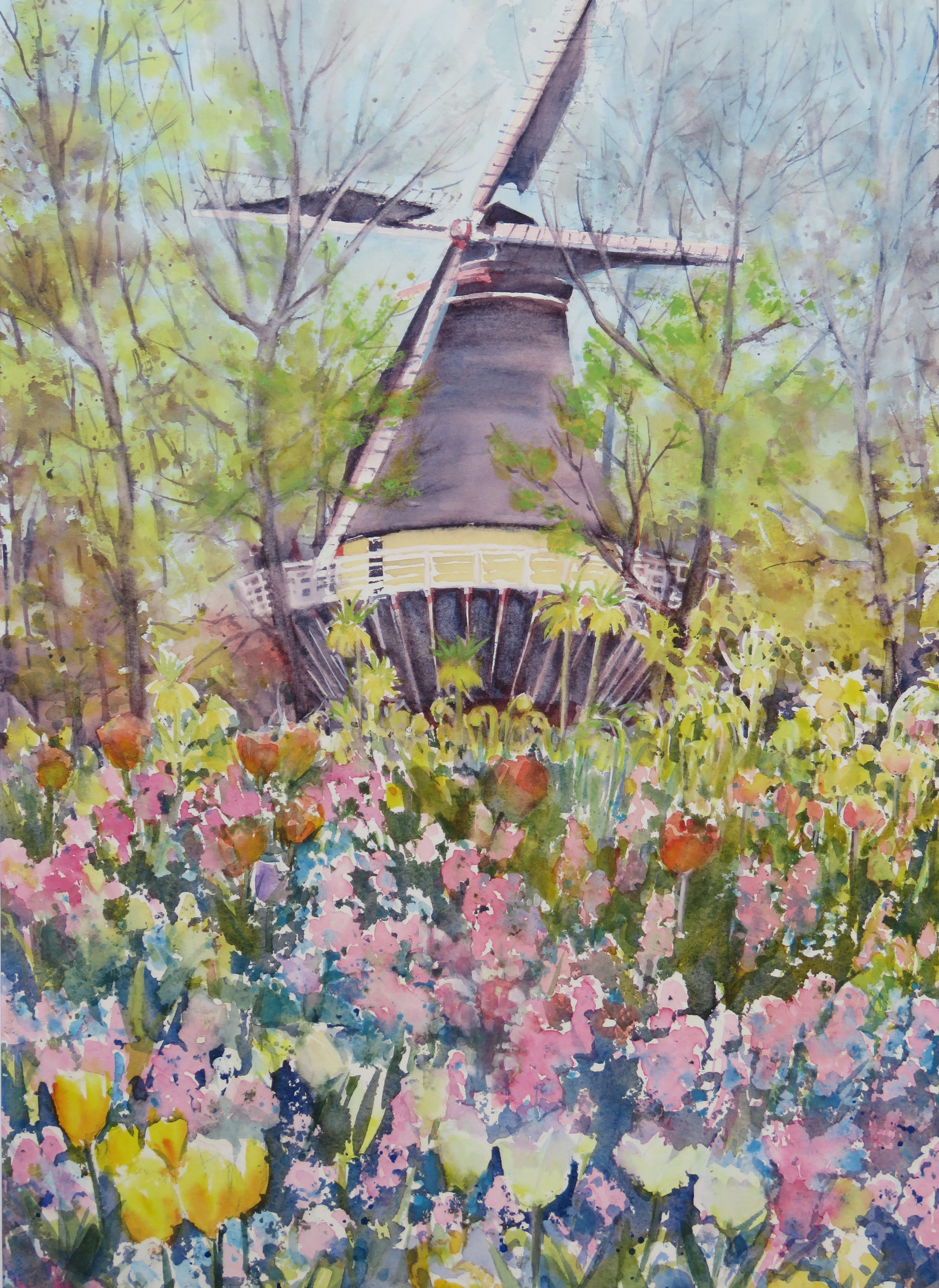  Keukenhof  watercolour  $400 