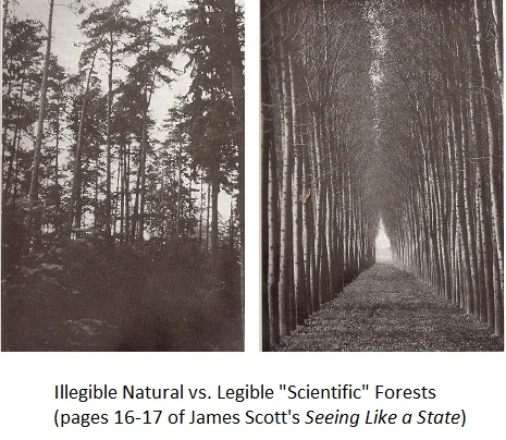 How Certain Schemes to Improve The Human Condition Have Failed