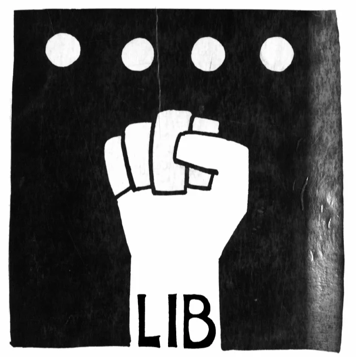 computerlib.jpg