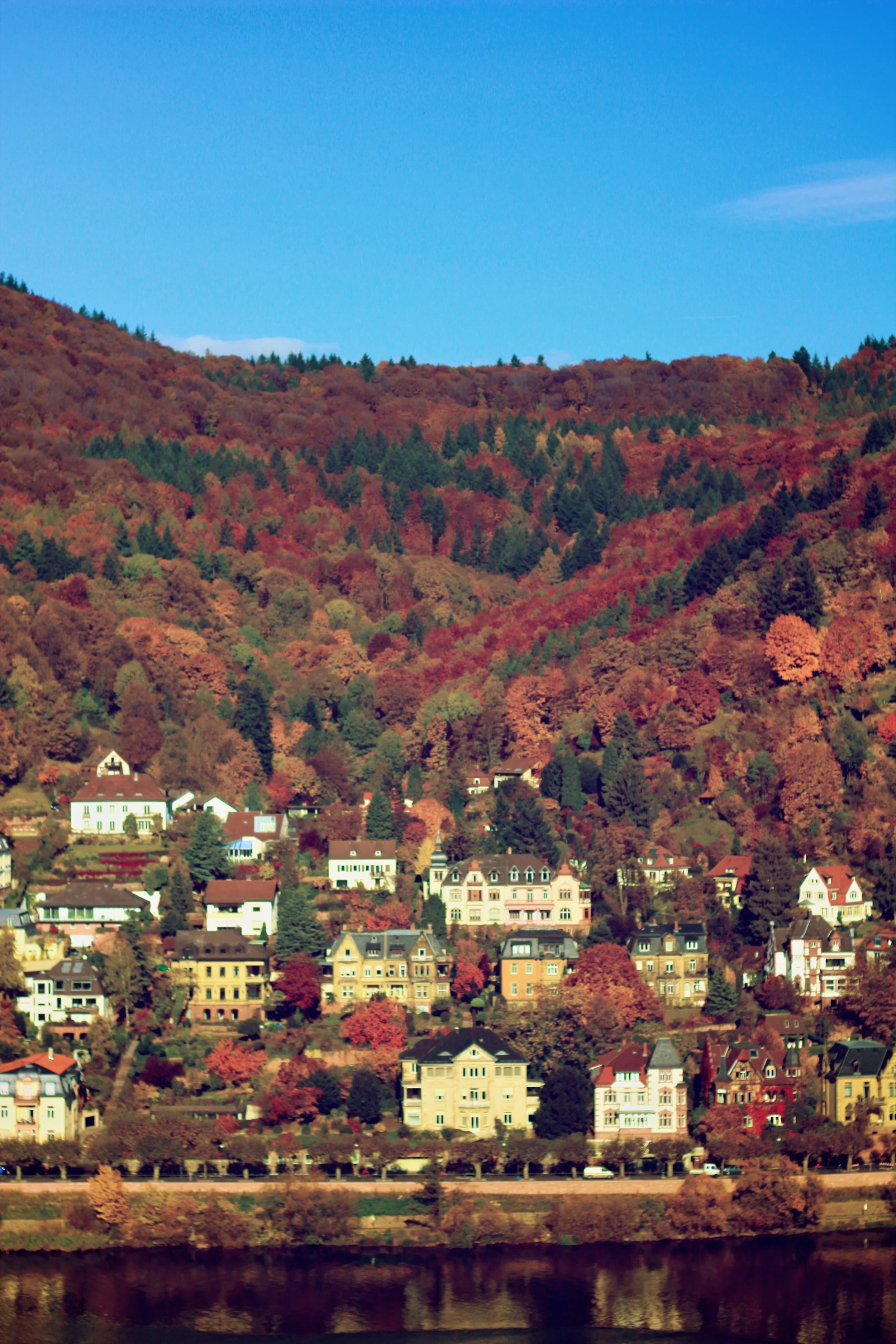 Heidelberg.jpg