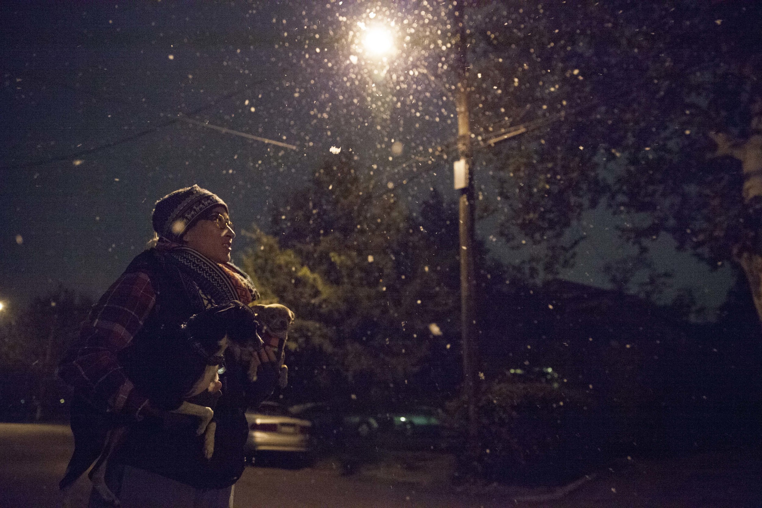 An east Dallas resident enjoys the first snow of the season with their 2 small dogs.