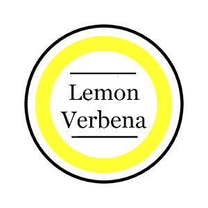 Lemon Verbena Surprise Semi-Precious Faceted Gemstone Valued $10-$5,000 Soy Candle with A Gemstone Inside 