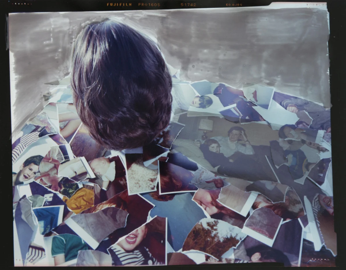 The whole image , 2013 Liquid photographic emulsion on pigmented inkjet print, 13 x 19 inch